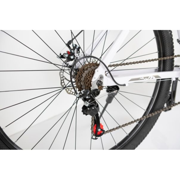 WINNER BIKE BIC. 29