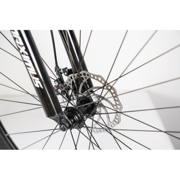 WINNER BIKE BIC. 29