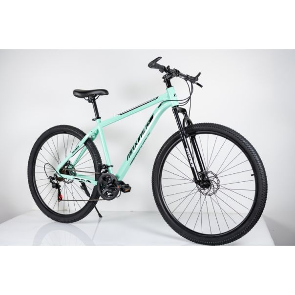 WINNER BIKE BIC. 29