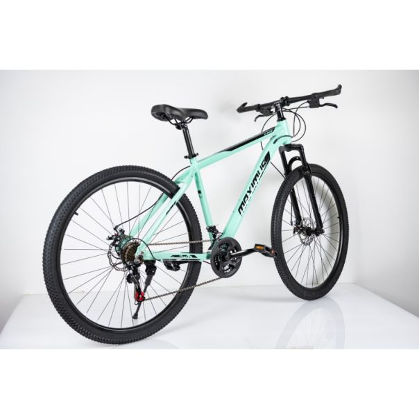 WINNER BIKE BIC. 29