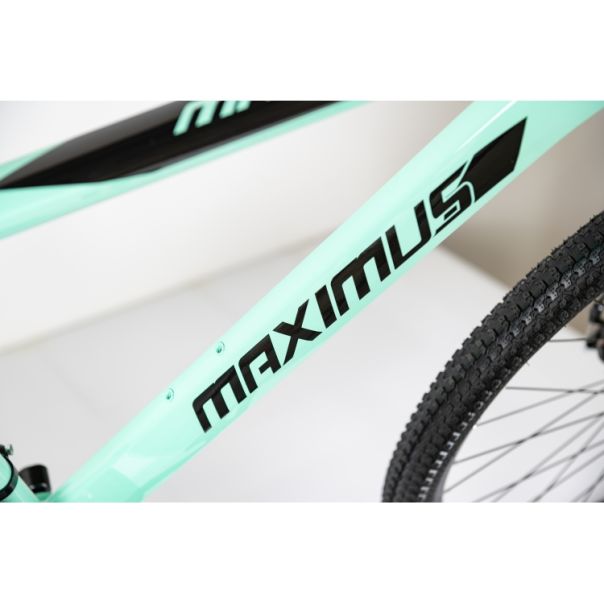 WINNER BIKE BIC. 29