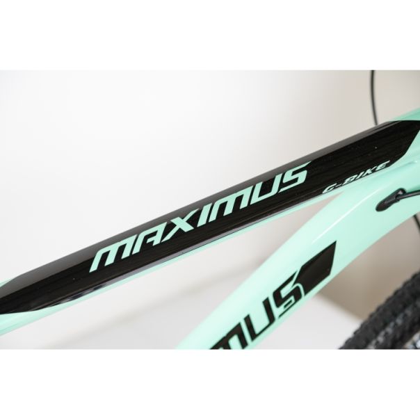 WINNER BIKE BIC. 29