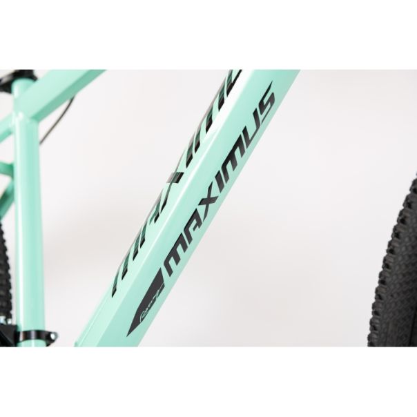 WINNER BIKE BIC. 29