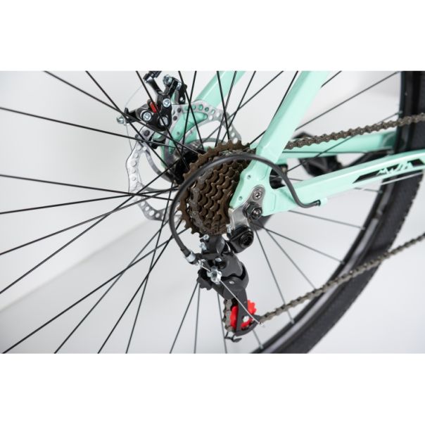 WINNER BIKE BIC. 29