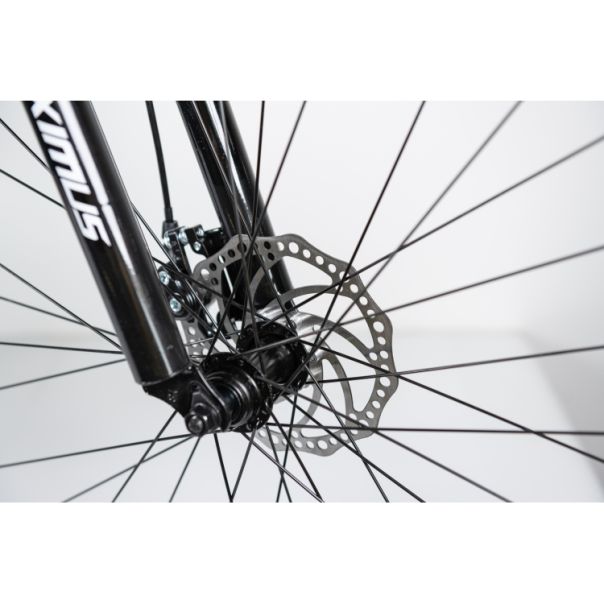 WINNER BIKE BIC. 29