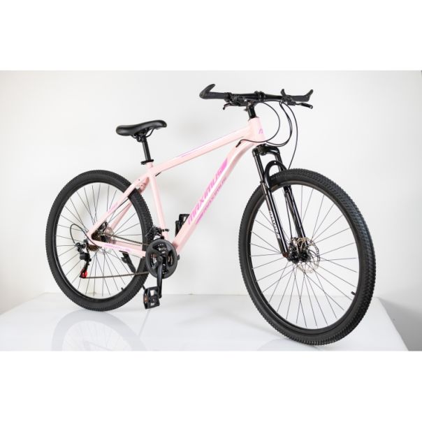 WINNER BIKE BIC. 29