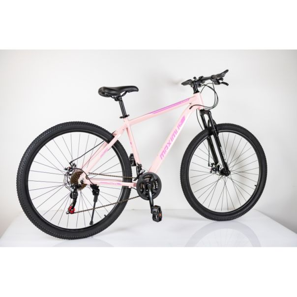 WINNER BIKE BIC. 29