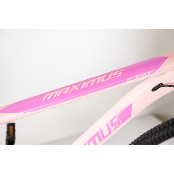 WINNER BIKE BIC. 29
