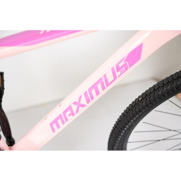 WINNER BIKE BIC. 29