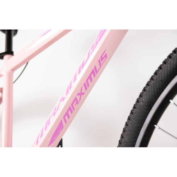 WINNER BIKE BIC. 29