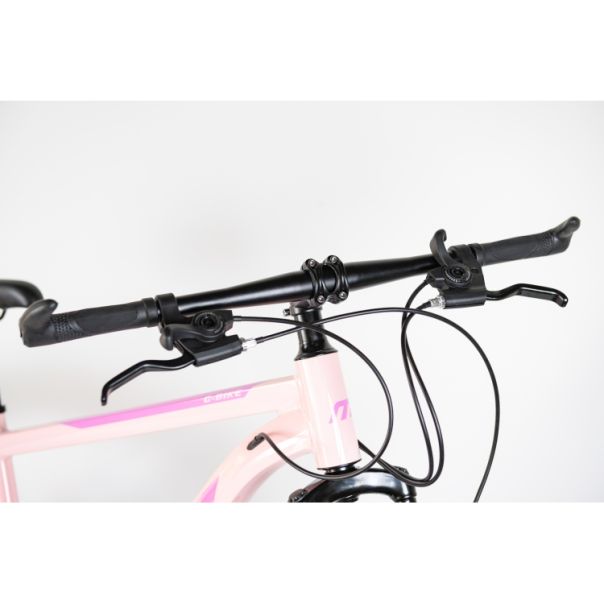 WINNER BIKE BIC. 29
