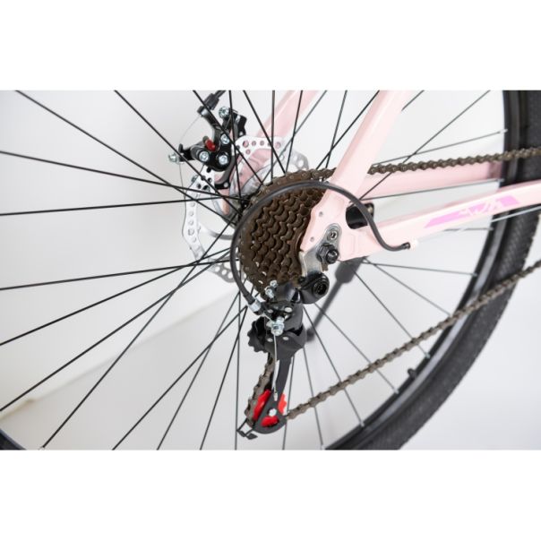 WINNER BIKE BIC. 29
