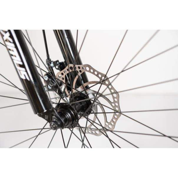 WINNER BIKE BIC. 29