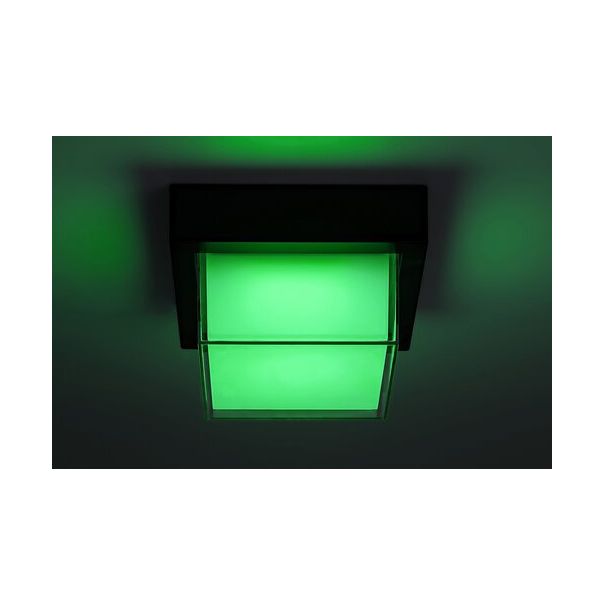 Rabalux Spoljnja zidna rasveta Spoljnja plafons Durbe LED 10W crna (7247) - 7247