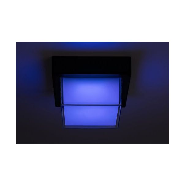 Rabalux Spoljnja zidna rasveta Spoljnja plafons Durbe LED 10W crna (7247) - 7247