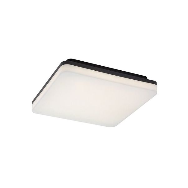 Rabalux Spoljna plafonska rasveta Pernik LED 24W crna (7250) - 7250