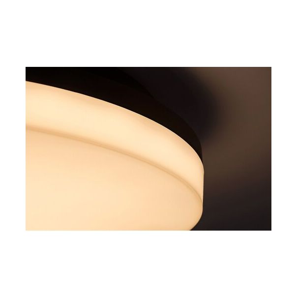 Rabalux Spoljna plafonska rasveta Pernik LED 24W crna (7265) - 7265-1