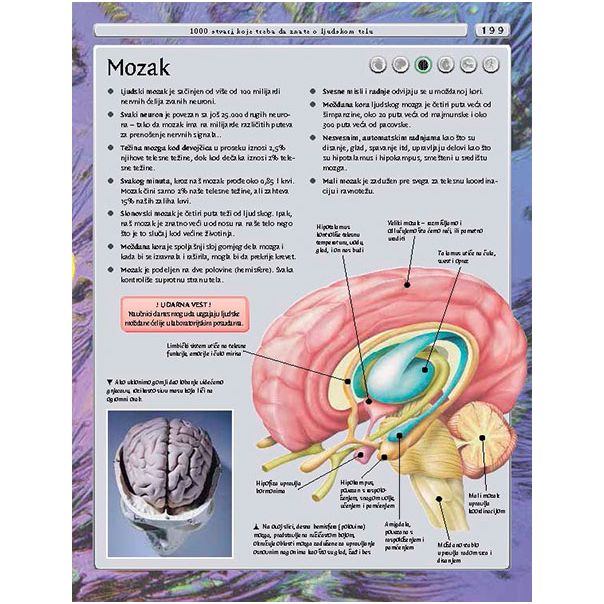 Enciklopedija za mlade - 734-1