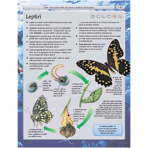 Enciklopedija za mlade - 734-1