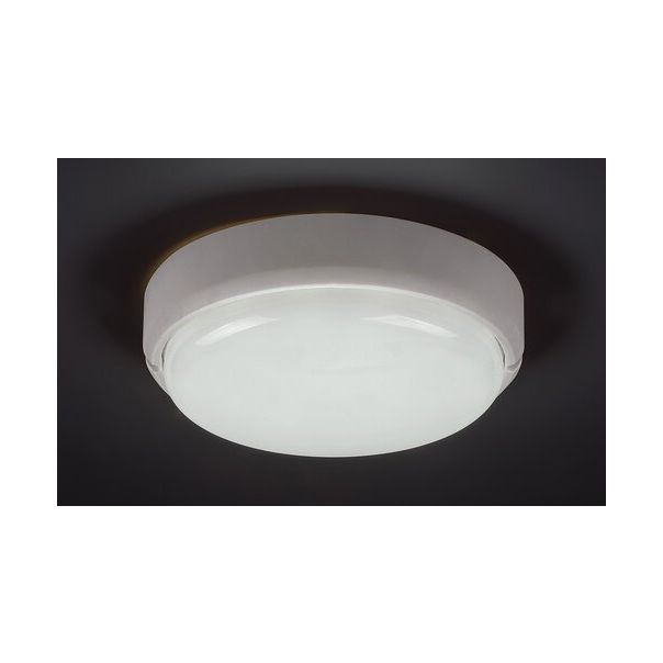 Rabalux Spoljnja zidna rasveta Spoljnja plafons Hort LED 15W bela (7406) - 7406
