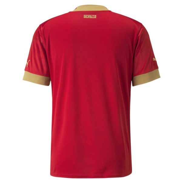 PUMA Majica kratak rukav fss home jersey replica m - 765760-01