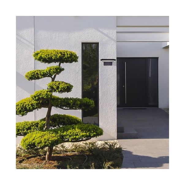 Rabalux Solarna rasveta Qesa LED 10W crna (77005) - 77005