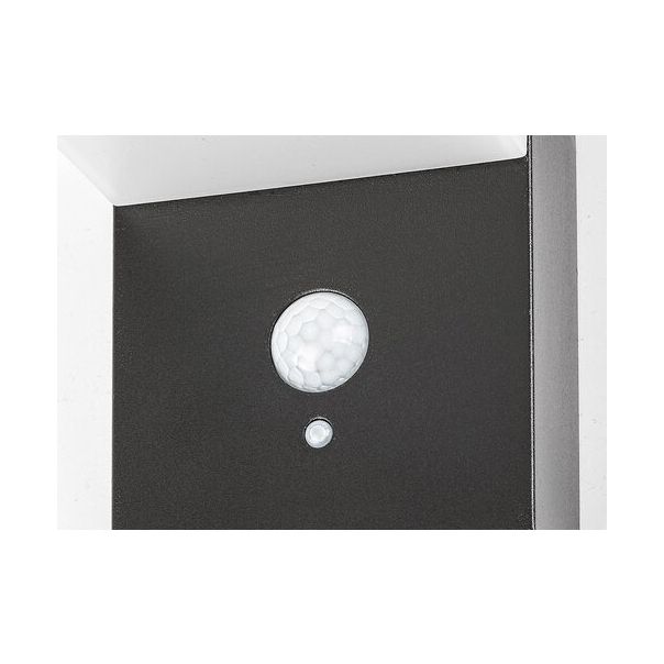 Rabalux Solarna rasveta Zrebar LED 6W crna (77009) - 77009