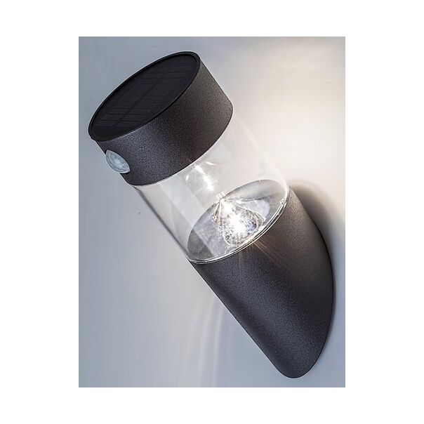 Rabalux Solarna rasveta Kapuas LED 15W crna (77015) - 77015