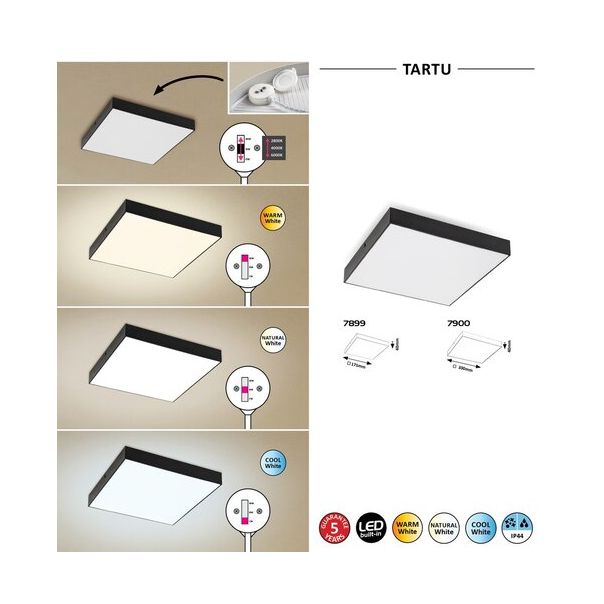 Rabalux Spoljna plafonska rasveta Tartu LED 24W mat crno (7900) - 7900