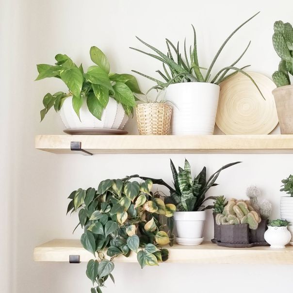 HANAH HOME Set zidnih polica 2/1 Lam008 - EP2799478