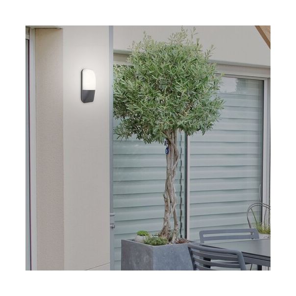 RABALUX Spoljna zidna rasveta Ecuador LED 9W - 7996-1