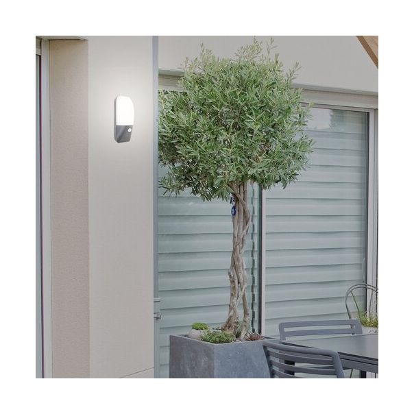 RABALUX Spoljna zidna rasveta Ecuador LED 10W - 7997-1