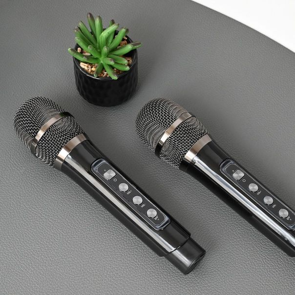 Bluetooth zvucnik sa mikrofonom YS201 crni - 214332