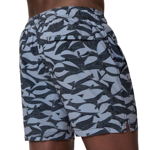 SPEEDO Šorc prnt redondo edg vly 16