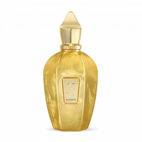 Xerjoff Accento Overdose EDP 100ml - EP3199550