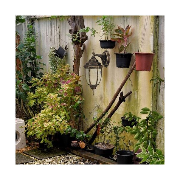 Rabalux Spoljna zidna rasveta Nizza E27 1x MAX 60W antično zlato (8451) - 8451-1