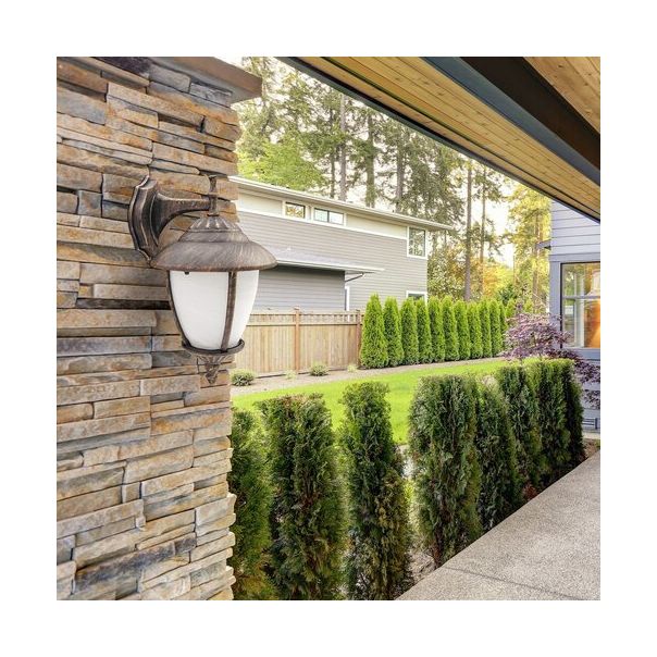 Rabalux Spoljna zidna rasveta Madrid E27 1x MAX 60W antično zlato (8476) - 8476