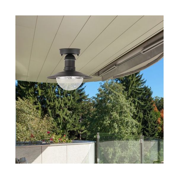 Rabalux Spoljna plafonska rasveta Oslo E27 1x MAX 60W crna (8716) - 8716