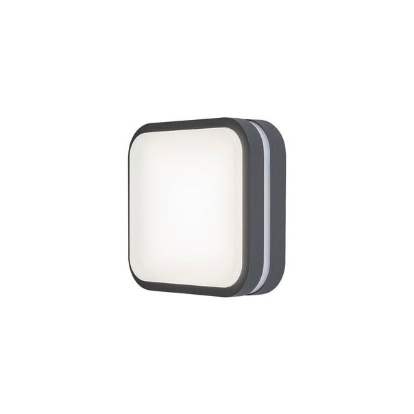 Rabalux Spoljna plafonska rasveta Hamburg LED 10W antracit siva (8849) - 8849