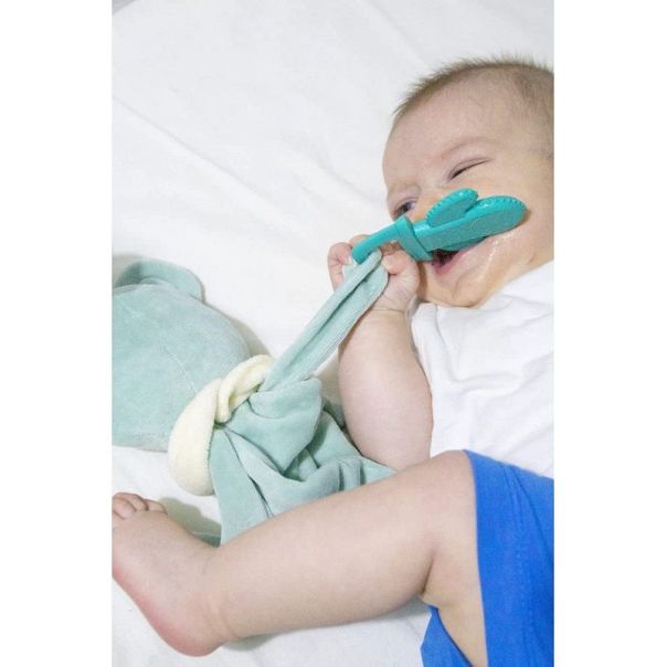 BABYJEM Plišana igračka Sweet Bear sa glodalicom - green - 92-36807
