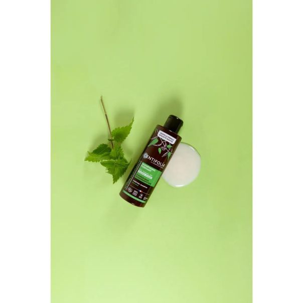 CENTIFOLIA Šampon za masnu kosu sa koprivom - 200ml - EP3235856