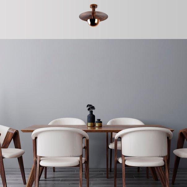 OPVIQ Luster Kurt 13354 - EP3009211
