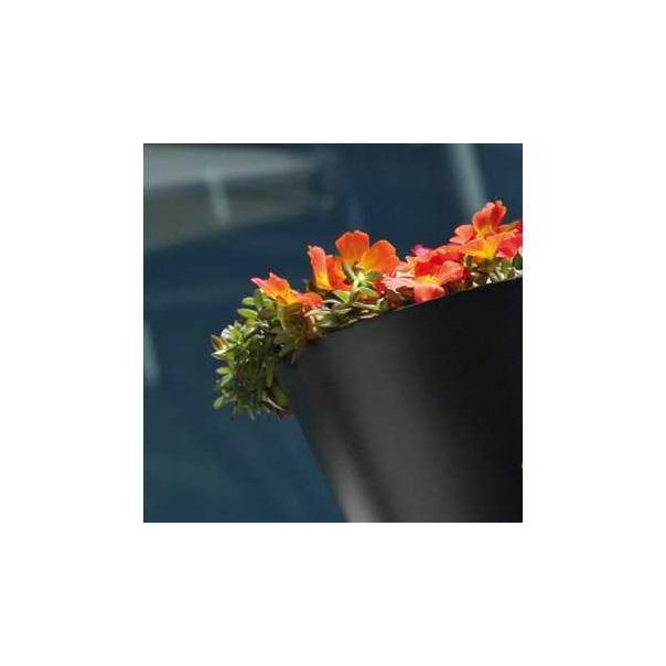 Prosperplast PR DTUB250-S433 Saksija Tubus 25x23cm Antracit - 94625