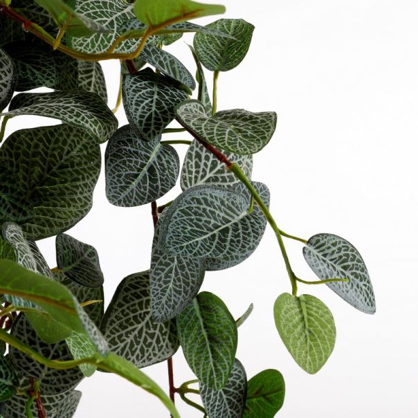 DEKOR DOM Cvet PILEA 70cm 953440 - Green - EDL - EP2880591