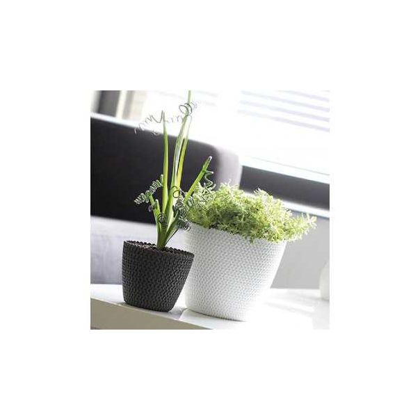 Prosperplast PR DSP130-S433 Saksija Splofy 13x11cm Antracit - 96650