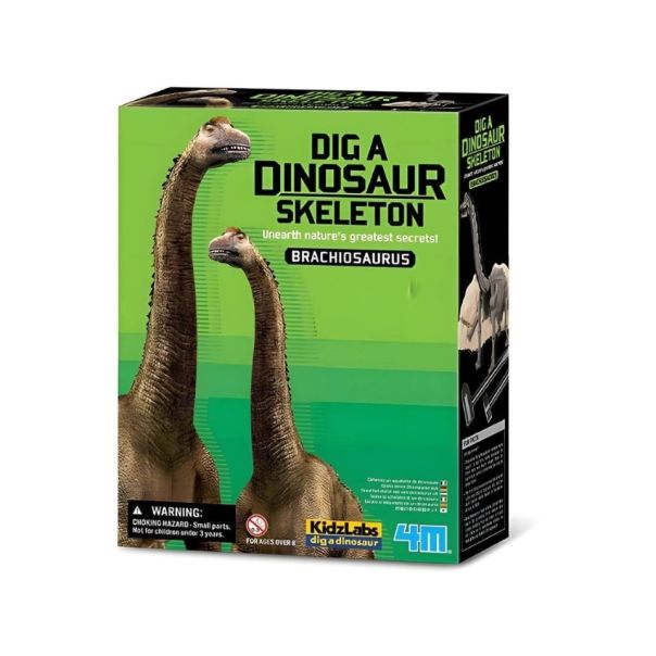 4m iskopaj brahiosaurusa - 4M03232