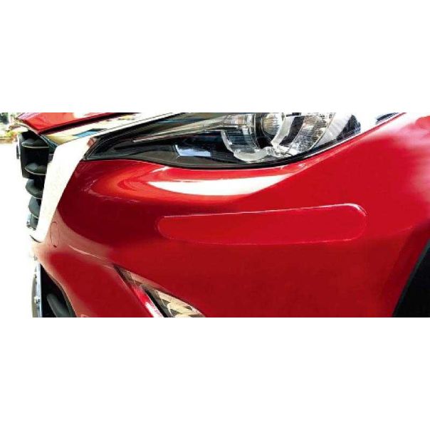 CARCO Zaštita branika 2kom providna - 999_42823