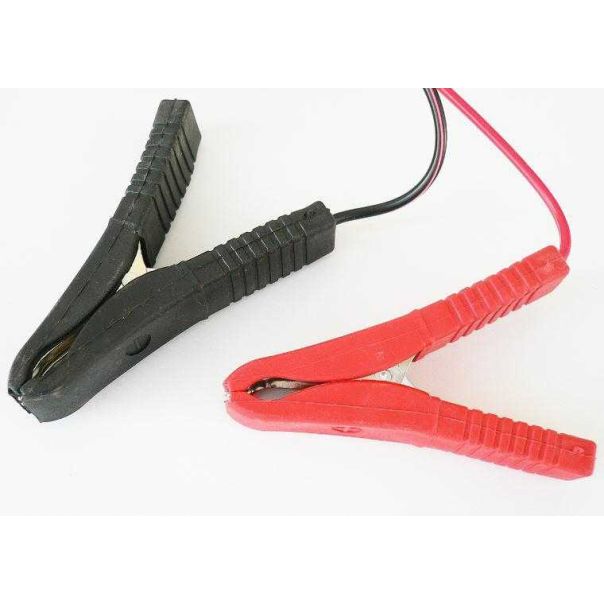 CARCO Punjac za akumulator 6a 6-12v - 999_42877