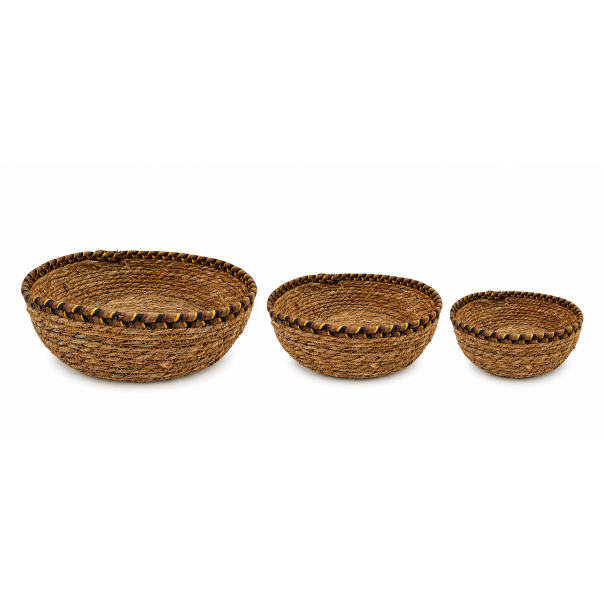 MKS Pletene korpe 3/1 - EP3252559