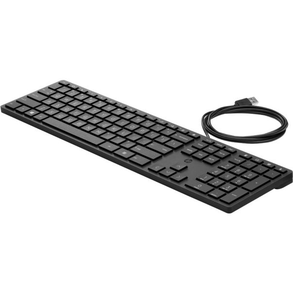 HP Tastatura 320K žicna/US/crna - EP3021550